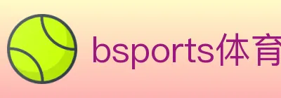 bsports体育 logo